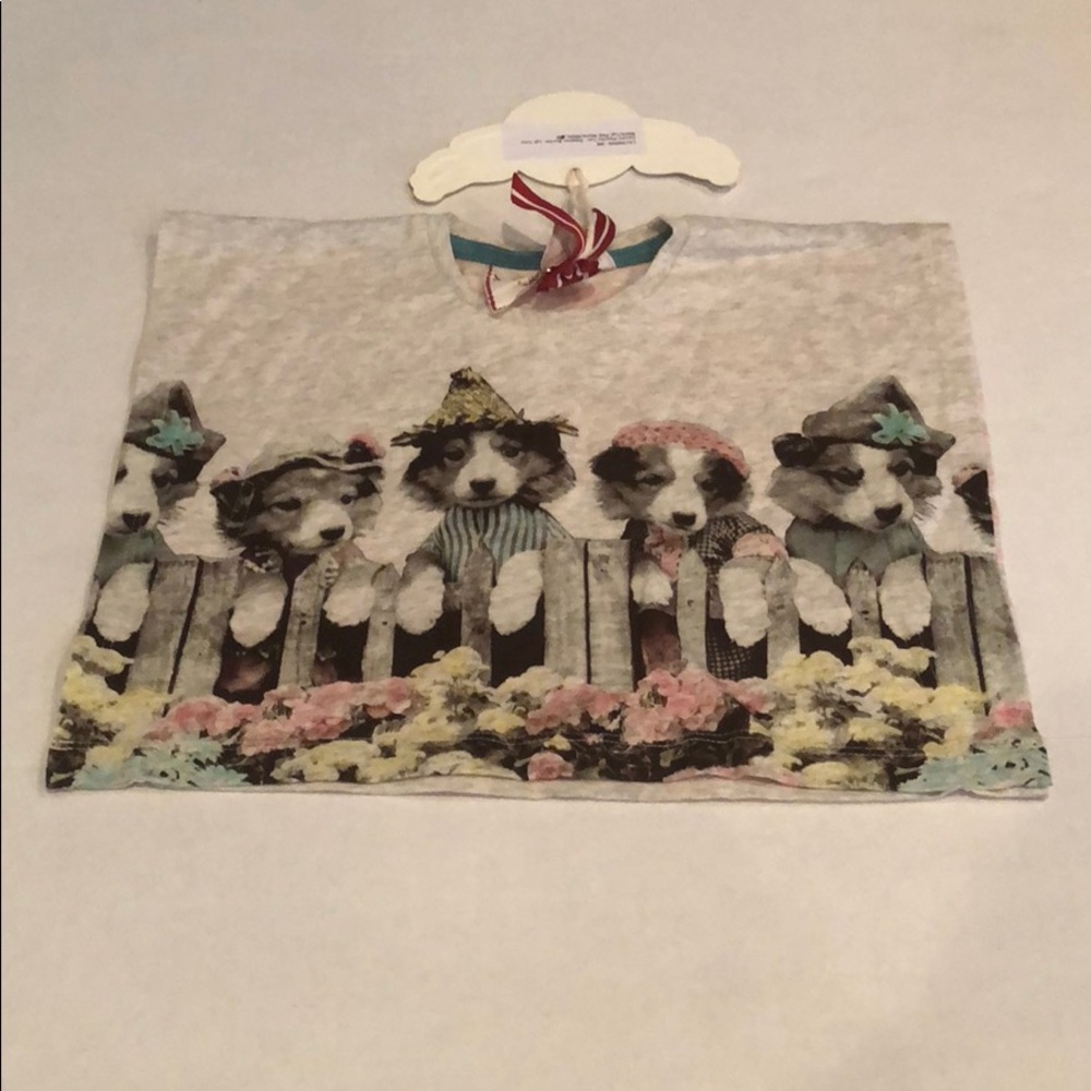 Little wings boxy baby top